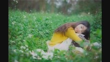 江策丁梦妍，修罗战神最新章节全文阅读