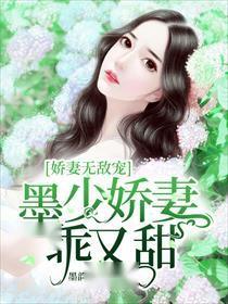 墨少宠妻超甜，全文免费阅读的甜蜜盛宴