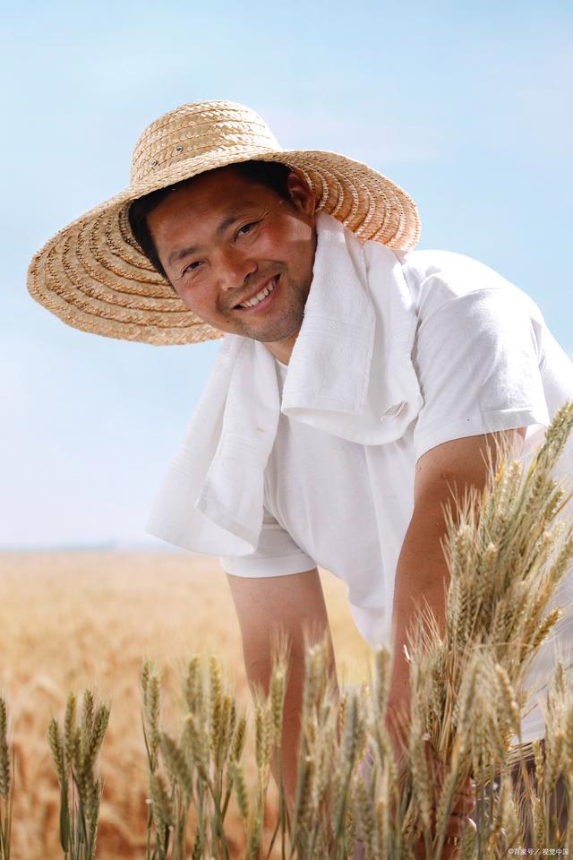 极品农民，在田野上绽放的智慧与坚韧