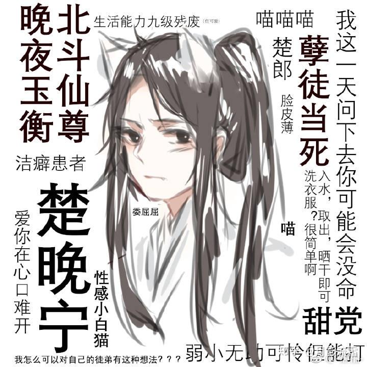 探索情感与责任的交织——免费阅读二哈和他的白猫师尊全文