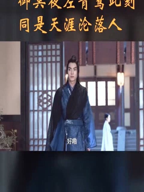 凤舞君临，神医凰后的全文免费阅读之旅