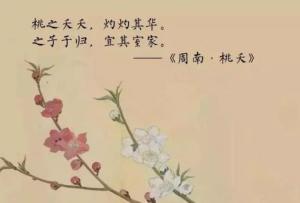 重生之路，灼灼其华的绽放