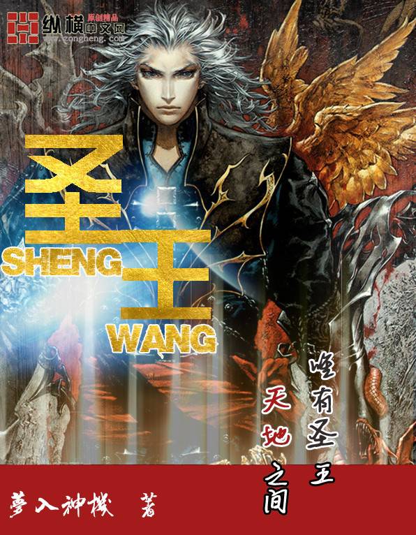 圣王txt全集下载，一场跨越时空的阅读盛宴