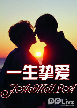 一生挚爱，免费阅读全文的甜蜜与感动