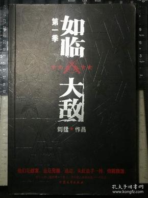 如临大敌，一场关于生存与挑战的电子书之旅