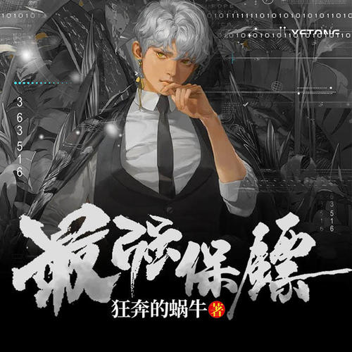 都市守护者，保镖小说的热血与温情