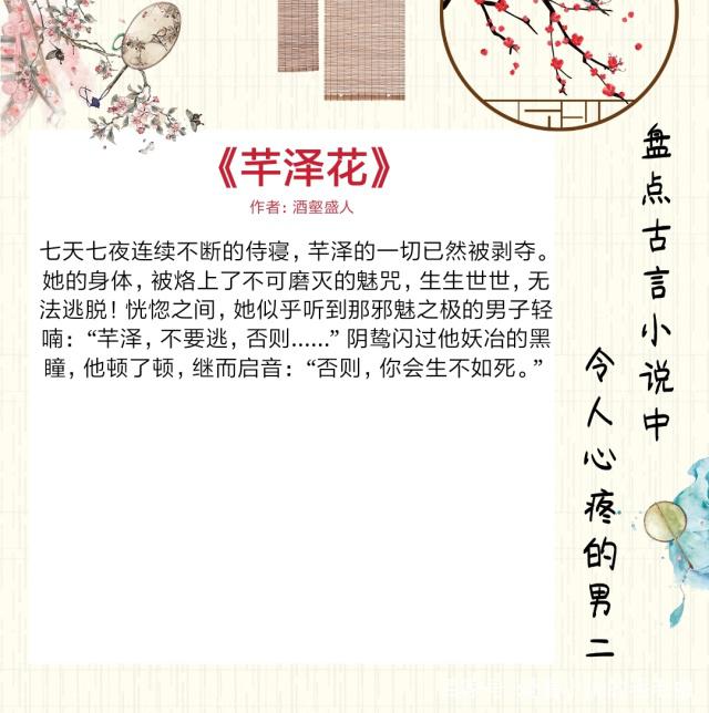 芊泽花，一抹淡雅的芬芳，全文免费阅读之旅