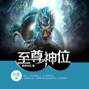 至尊神位，无弹窗的阅读盛宴