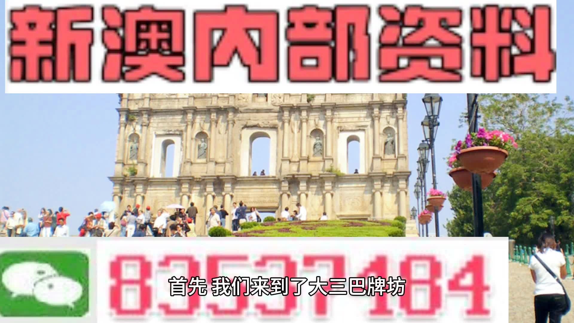 探索新澳门，正版资料免费看的奇妙之旅