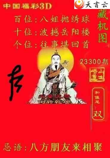 今日3D藏机图，天齐之谜的全面解析