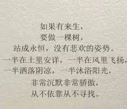 三毛中奖图，一段奇妙的缘分与人生启示