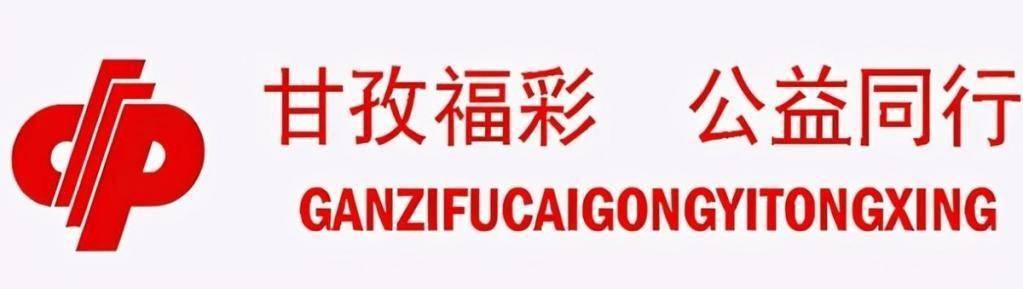 四川福彩开奖公告，公益与梦想的双重绽放