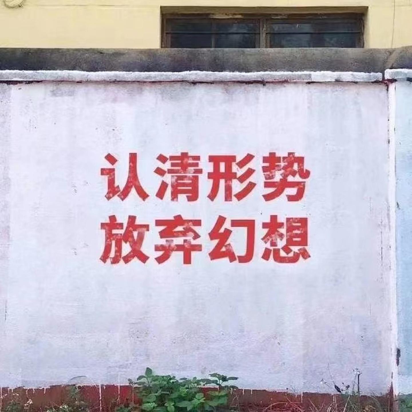 浙江体彩20选五，揭秘开奖背后的数字魅力与幸运瞬间
