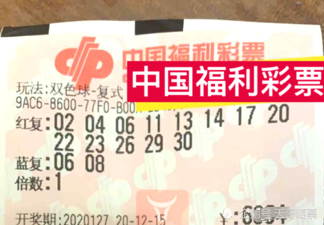 重庆福利彩票双色球开奖结果，梦想与幸运的交汇
