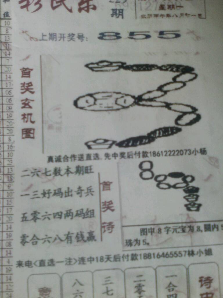 乐透乐字谜图谜总汇，解锁数字游戏中的智慧与乐趣