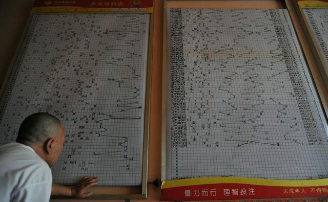 探索数字的奥秘，彩票走势图首页——最专业走势图大全解析