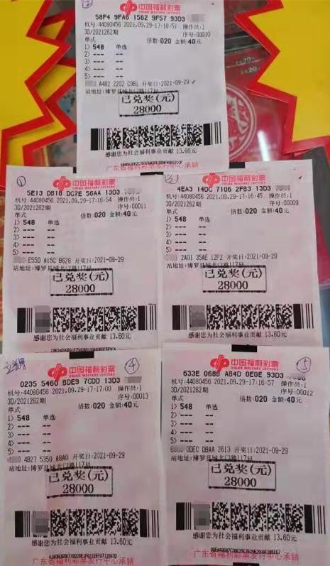 今日三D晒票，揭秘彩票背后的数字游戏与幸运之道
