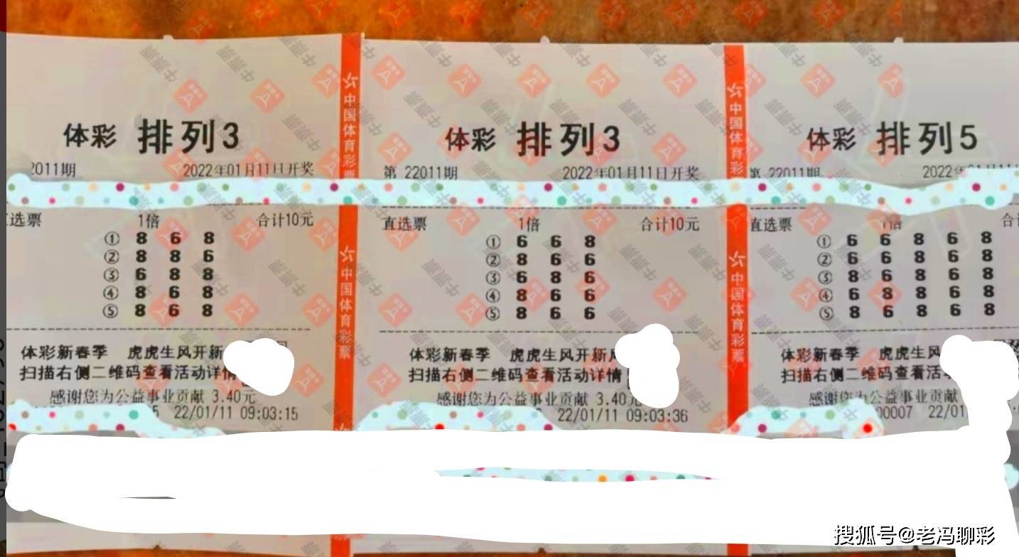 探索中国体育彩票排列三，中奖查询的奥秘与乐趣