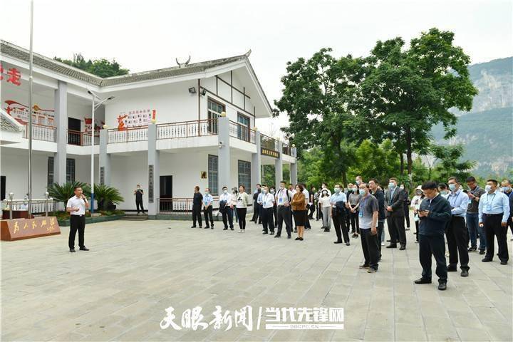 3D福彩正版藏机图，揭秘数字背后的神秘与智慧