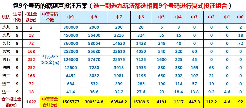 探索上海天天彩选4的奥秘，揭秘开奖号背后的故事