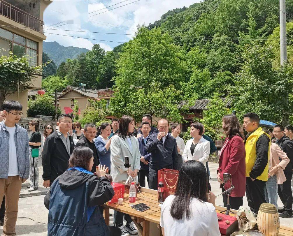 七星彩开奖直播，现场观看的乐趣与期待