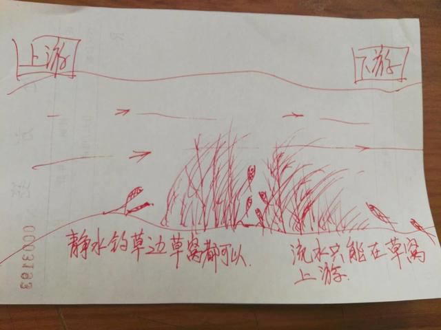 探秘三地解太湖钓叟字谜，传统智慧的现代传承