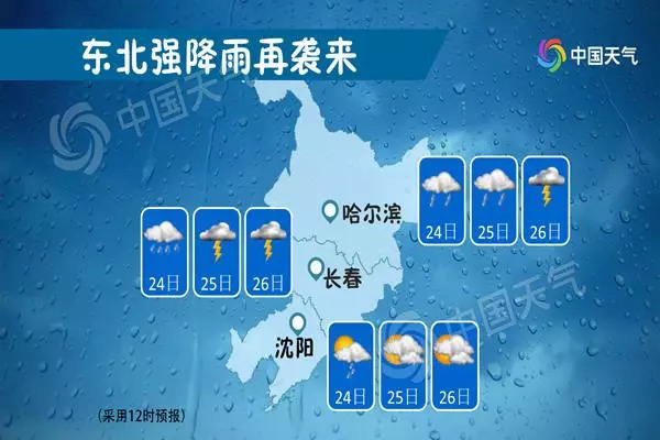 探索浙江风采网，体彩31选7的魅力与影响