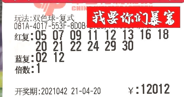 揭秘双色球专家号码全汇总，科学选号与理性投注的智慧