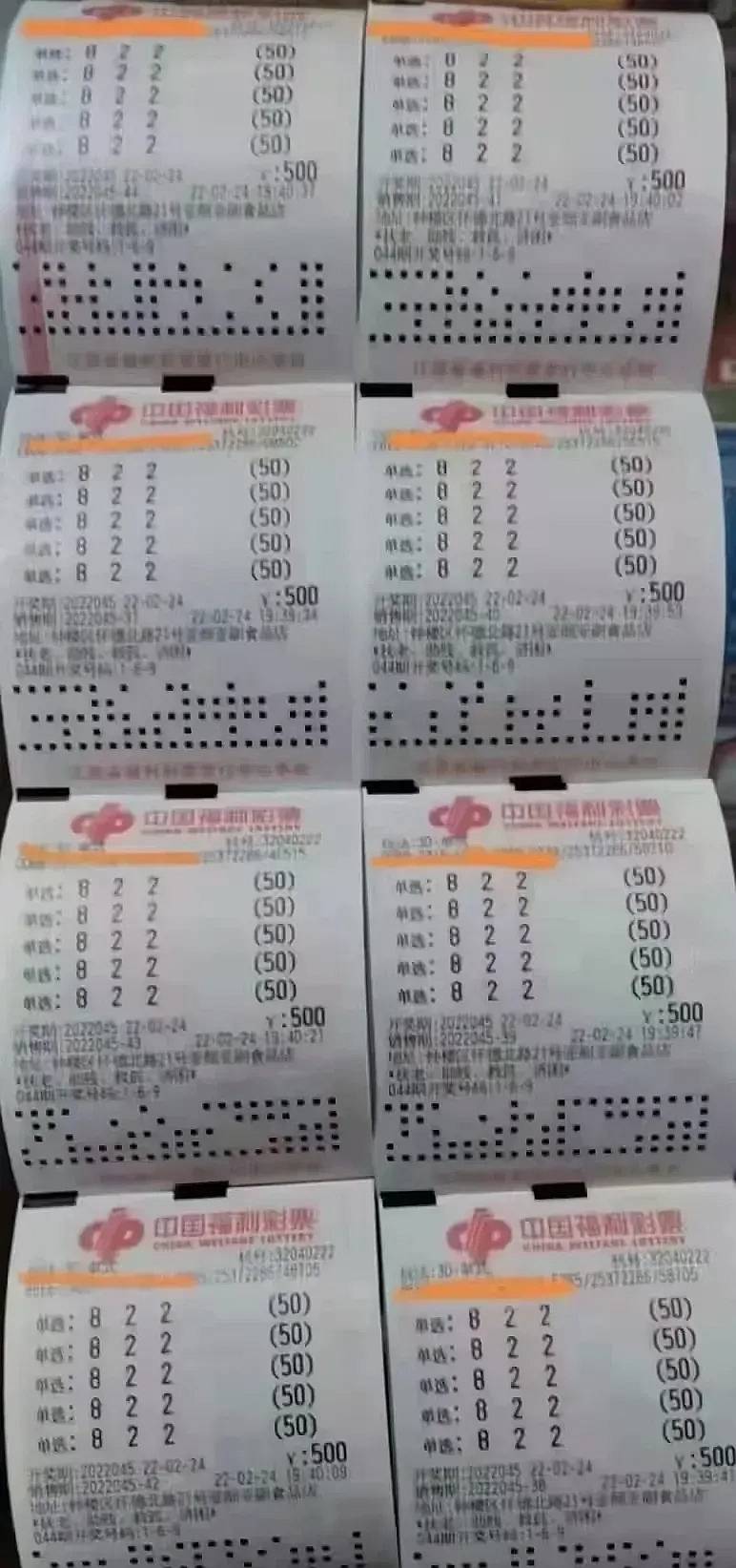 选3D技巧，揭秘100%准确率的秘密