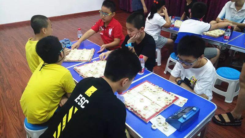 浙江风采网双色球开奖号码走势图，超长观察下的数字奥秘