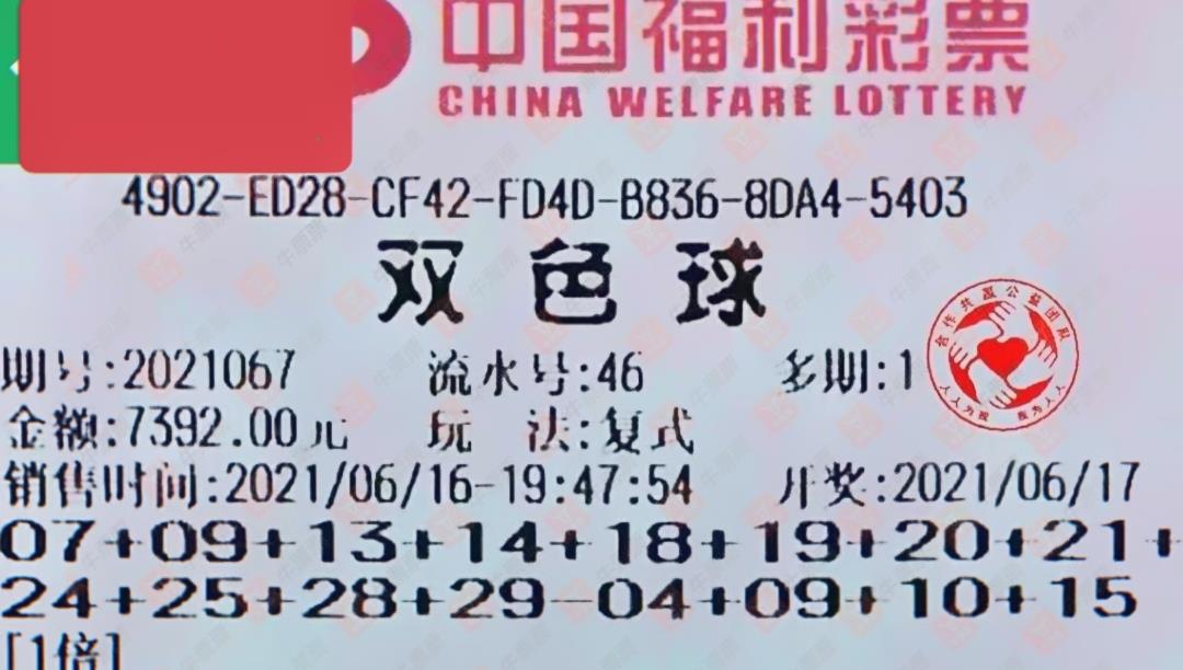 双色球039期，梦想与机遇的碰撞，揭秘中奖背后的故事