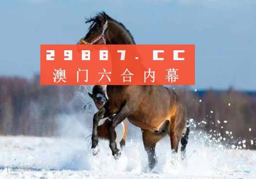 2023澳门特马今晚开奖48期，揭秘与展望