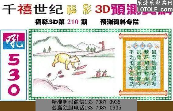 3D图谜总汇，全图九的奥秘与魅力