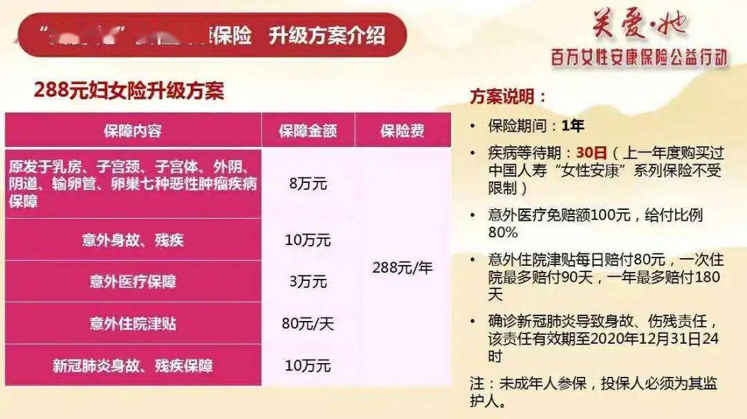 双胆两期计划，精准投注的智慧与坚持