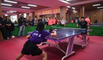 乒乓球直播比赛，激情与技巧的视觉盛宴