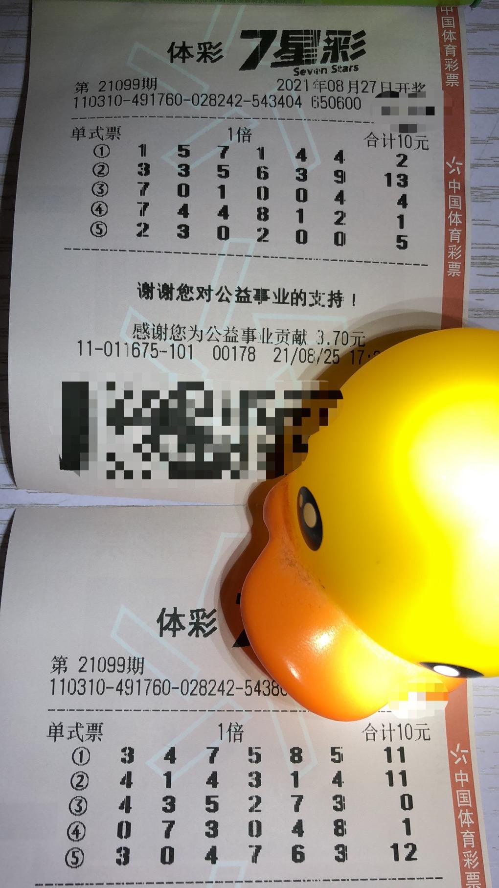 探索中国体彩七星彩，揭秘查询技巧与乐趣