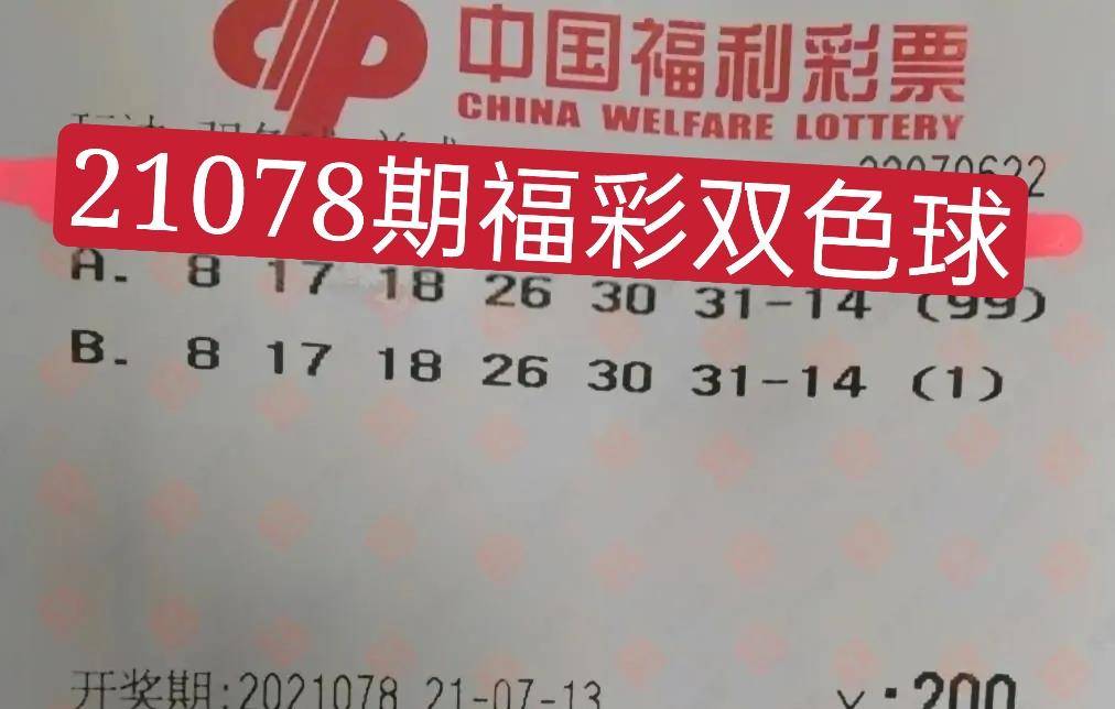 探索上海15选5最新开奖结果，数字背后的幸运与期待