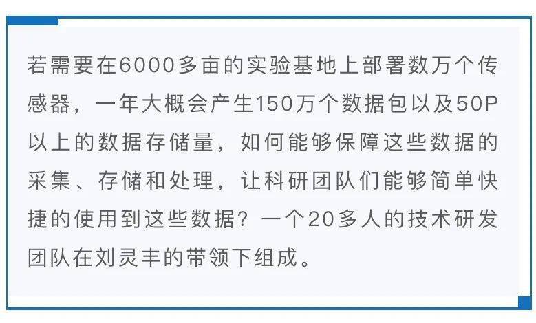 重庆时时乐开奖走势图，数字背后的奥秘与乐趣