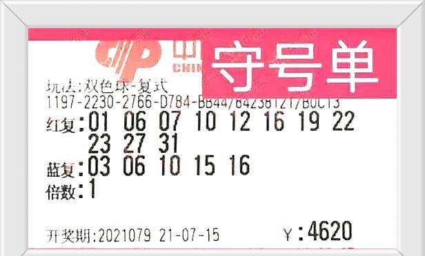 七星彩开奖查询公告，揭秘数字背后的幸运与期待