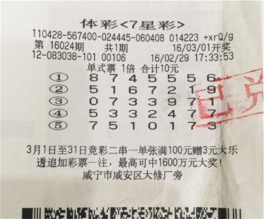 七星彩23065，揭秘最新开奖结果与彩民心声
