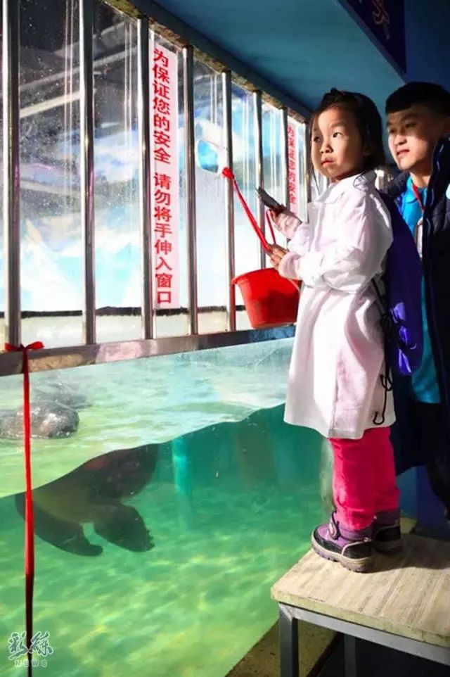 探秘3D钓叟，太湖字谜的奇幻之旅