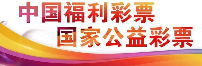 彩票与福利彩票，梦想与责任的双重交织