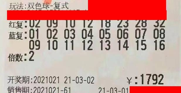 揭秘双色球第308期开奖结果，幸运的数字与梦想的碰撞