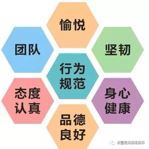 正规买球赛软件，安全、合法与理性参与的智慧选择