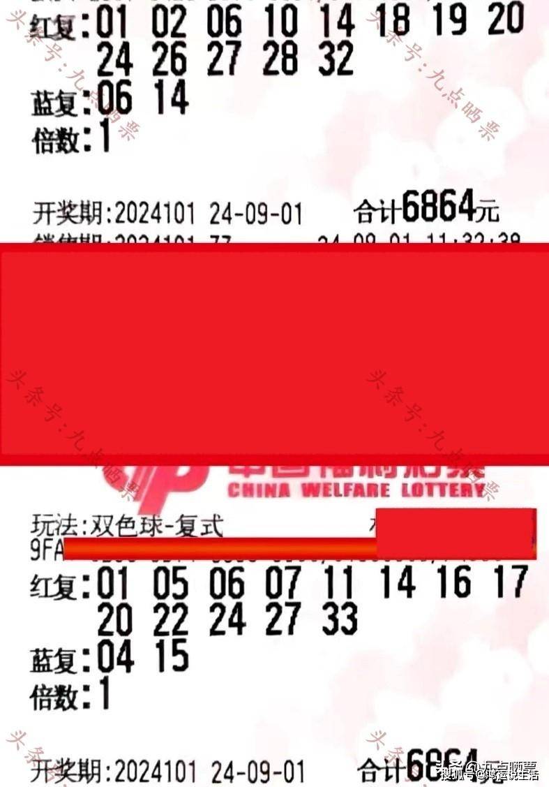 天天预测，乐享双色球114期，理性与幸运的碰撞