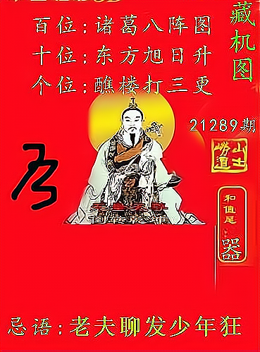全部正版藏机图汇总295期，揭秘彩票背后的数字奥秘