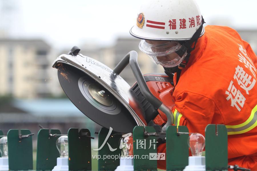 福建11选五，数字游戏中的智慧与乐趣