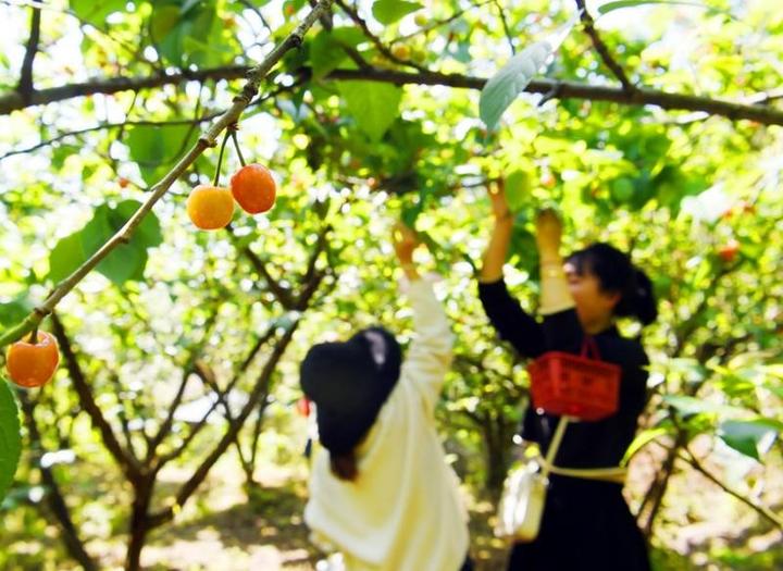 甜蜜生活