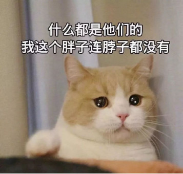 今日机选大乐透开奖结果揭晓，幸运与惊喜的碰撞