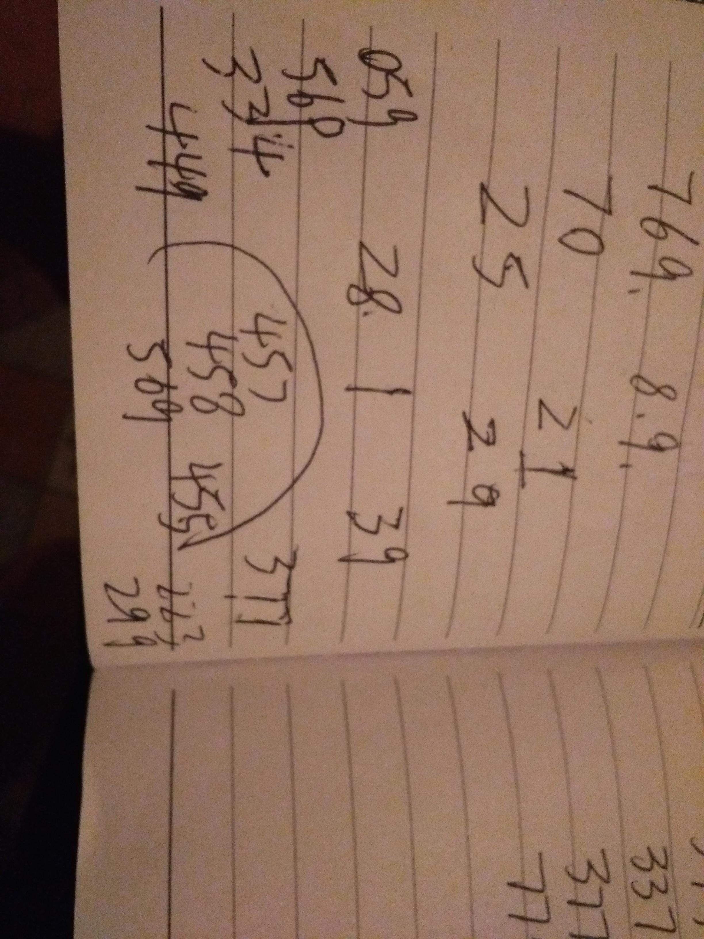 排列三试机号码今晚揭秘，数字背后的奥秘与投注策略